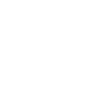 Icon Device protection check