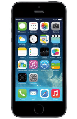 ga werken gelei Vermelden Apple iPhone 5S 16GB Black - kopen - Belsimpel
