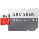 Samsung Evo+ microSDXC 256GB Class 10 + SD-Adapter
