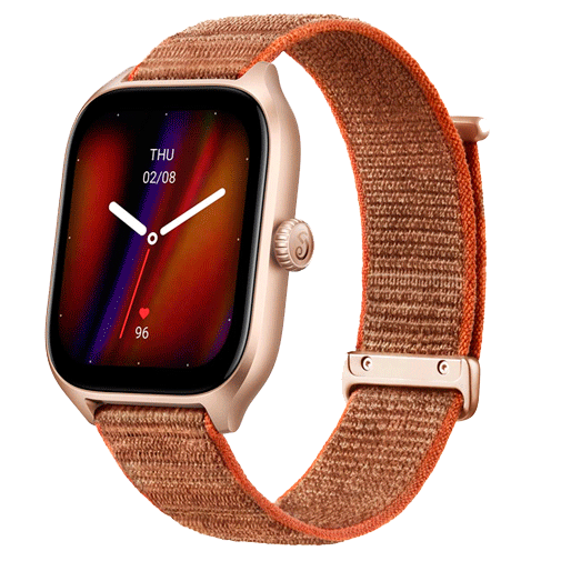 Amazfit GTS 4 Braun Gomibo