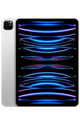 Apple iPad Pro 2022 11 WiFi + 5G 128GB Zilver