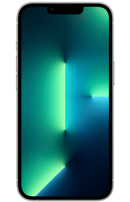 Apple iPhone 13 Pro Max 1TB Silver