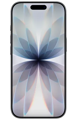 Apple iPhone 17 256GB Zwart