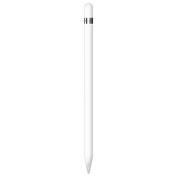 Apple Pencil med USB-C - Lightning Adapter