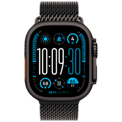 Apple Watch Ultra 2 Black (Black Metal Strap M)