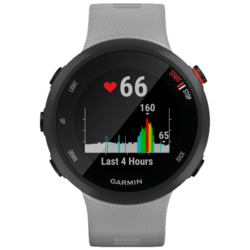 Garmin Forerunner 45 Plus Grijs