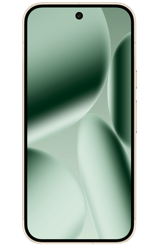 Google Pixel 10 Pro 256GB Grün - kaufen - Gomibo.at