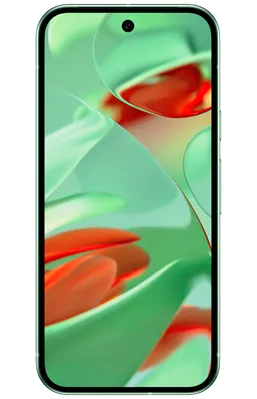 Google Pixel 9 256GB Green