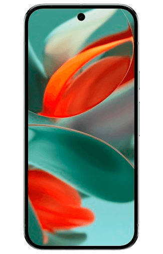 Belsimpel Google Pixel 9 Pro 256GB Grijs aanbieding