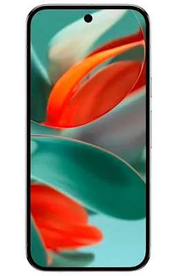 Google Pixel 9 Pro 512Go Gris