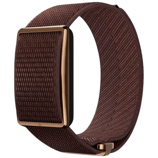 Polar Loop Bruin