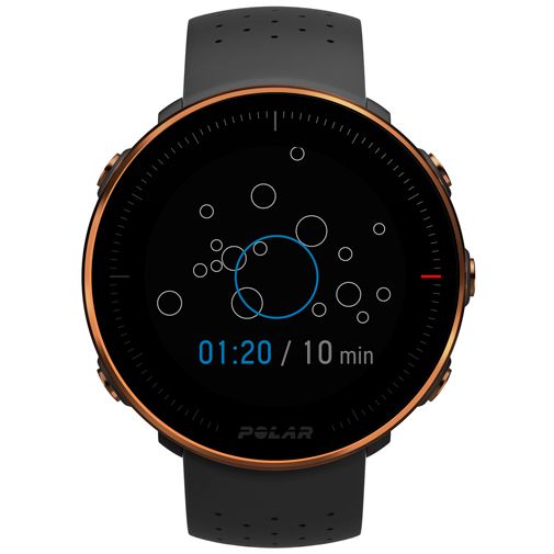 Polar Vantage M Zwart Koper M L Gomibo.be