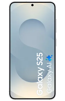 Samsung Galaxy S25 128GB S931 Argent