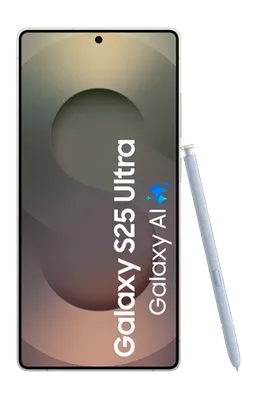 Samsung Galaxy S25 Ultra 256GB S938 Silver