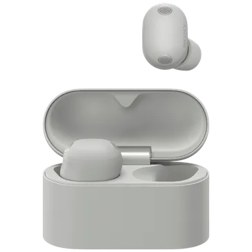 Sony WF-1000XM6 Argent