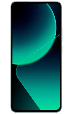 Xiaomi 13T Pro 16Go/1TB Vert